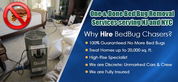 Bed Bug bites Dover NJ, Bed Bug spray Dover NJ, hypoallergenic Bed Bug treatments Dover NJ