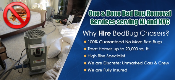 bed bug heat Woodside Houses NY, Bed bug treatment NJ, Bed bug treatment NY, Bed bug treatment NYC, Bed bug treatment Manhattan, Bed bug treatment Brooklyn, Bed bug treatment Bronx, Bed bug treatment Staten Island, Bed bug treatment PA, Bed bug treatment Philly, Bed bug treatment Westchester County, Bed bug treatment Orange County, Bed Bug Control NY NJ PA NYC Brooklyn Staten Island Manhattan Queens Long Island City
