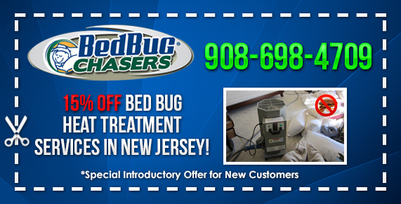 Non-toxic Bed Bug treatment South Hackensack NJ, bugs in bed South Hackensack NJ, kill Bed Bugs South Hackensack NJ