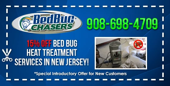 Non-toxic Bed Bug treatment Westville NJ, bugs in bed Westville NJ, kill Bed Bugs Westville NJ