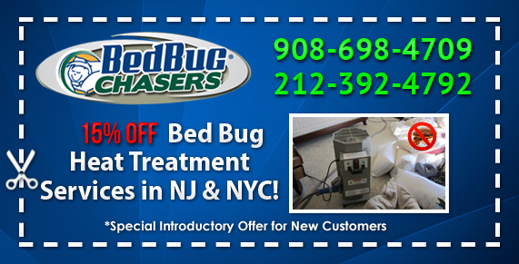 Kill bed bugs NJ, Kill bed bugs NY, Kill bed bugs NYC, Kill bed bugs Manhattan, Kill bed bugs Brooklyn, Kill bed bugs Bronx, Kill bed bugs Staten Island, Kill bed bugs PA, Kill bed bugs Philly, Kill bed bugs Westchester County, Kill bed bugs Orange County, Pest Control Service for Bed Bugs in NY NJ PA NYC Brooklyn Staten Island Manhattan Queens Long Island City, bed bug bites Mount Pleasant NJ