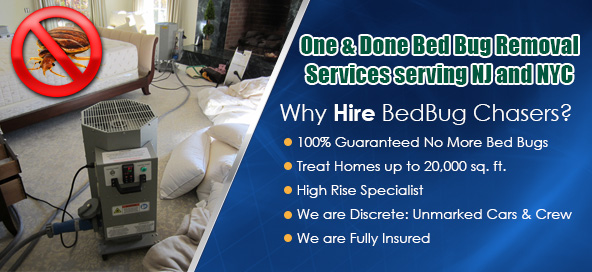 Get rid of bed bugs NJ, Get rid of bed bugs NY, Get rid of bed bugs NYC, Get rid of bed bugs Manhattan, Get rid of bed bugs Brooklyn, Get rid of bed bugs Bronx, Get rid of bed bugs Staten Island, Get rid of bed bugs PA, Get rid of bed bugs Philly, Get rid of bed bugs Westchester County, Get rid of bed bugs Orange County, NY NJ PA NYC Brooklyn Staten Island Manhattan Queens Long Island City Bed Bug Exterminators Haworth